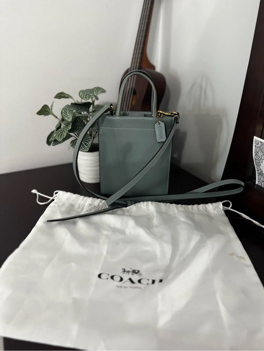 Coach Mini Cashin Carry Tote